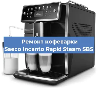 Чистка кофемашины Saeco Incanto Rapid Steam SBS от кофейных масел в Перми